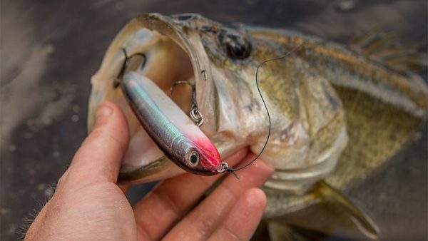 Rapala Skitter V Topwater Lure