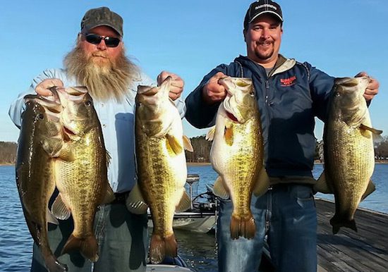 Chickamauga Guide Catches 49-pound Limit of Bass by: Jason Sealock