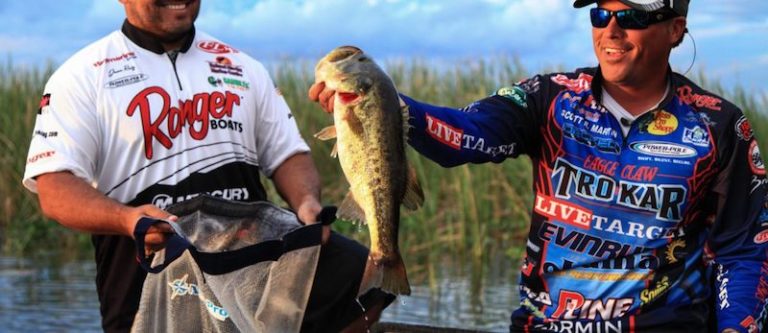 LIVETARGET’s Swimbait Secret is Out By FTR Staff February 22, 2017