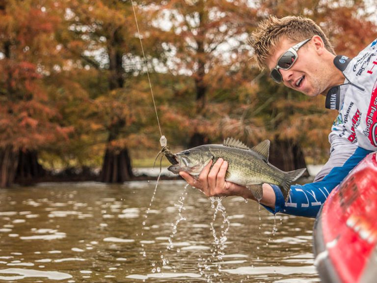Why to Fish Secondary Cover this Fall By Walker Smith