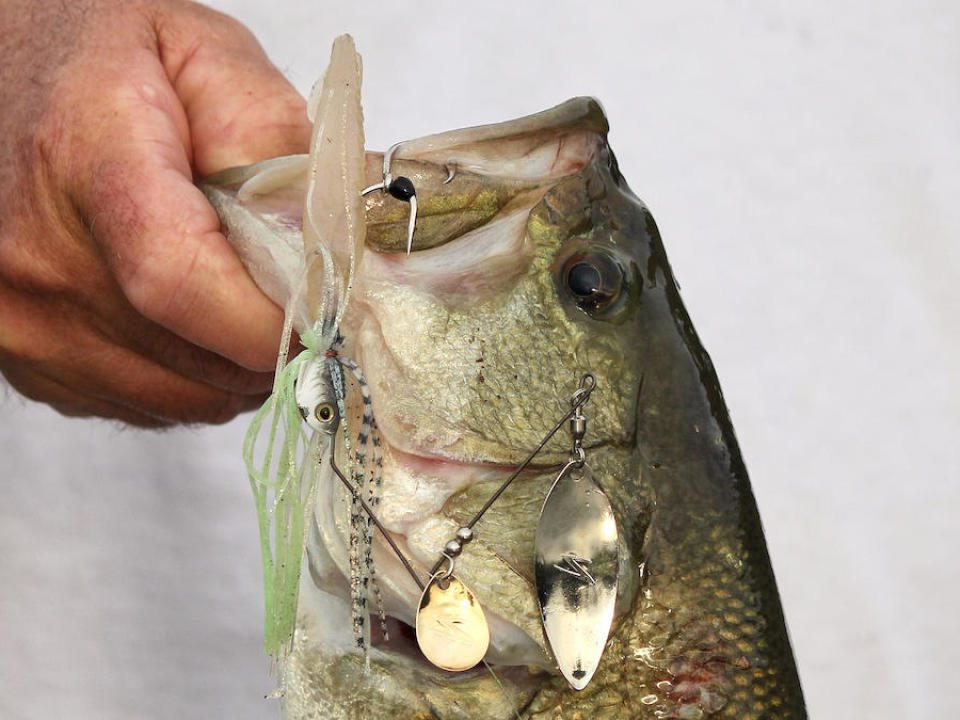 5 Hacks for Securing Bass Fishing Trailer Hooks by Shaye Baker