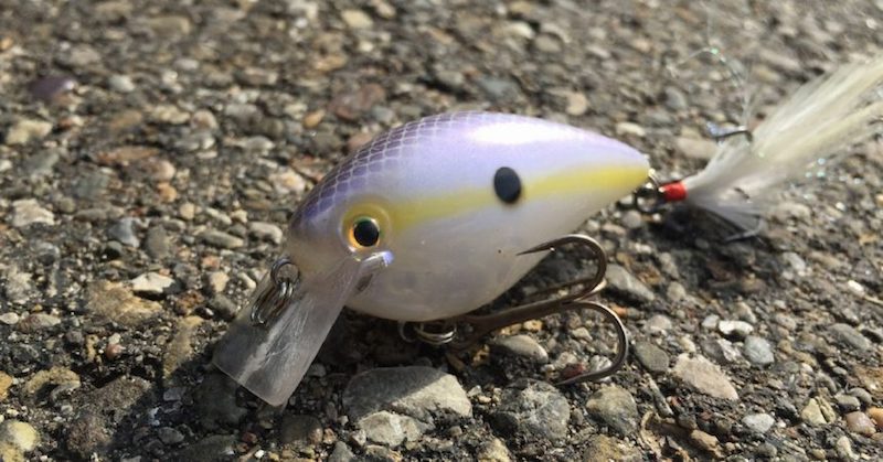 Shallow Cranking Tips All Anglers Should Know – MTB