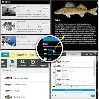 New Species Data Added to Fishidy – Fishidy.com