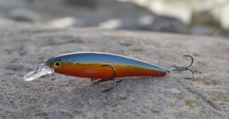 How To Fish A Suspending Stickbait For Winter Bass –  MTB