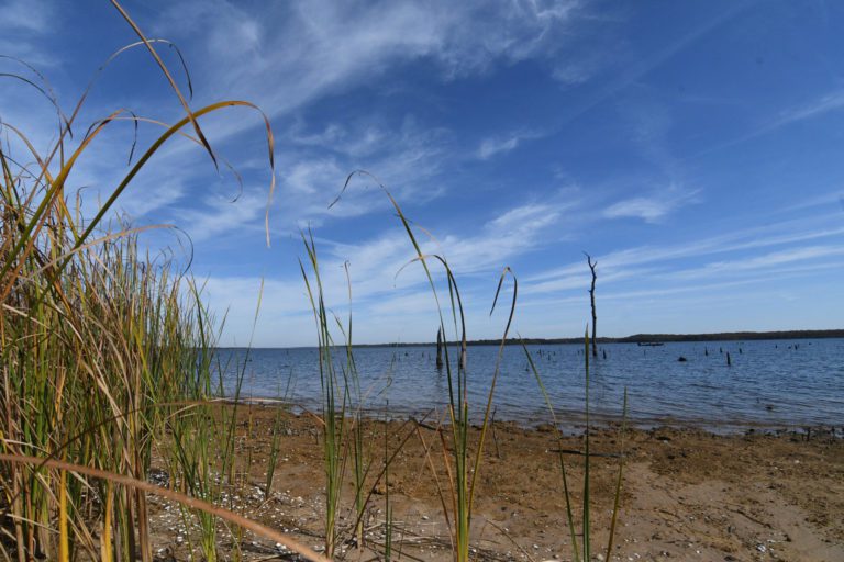 Lake Fork Named 2021’s Best Bass Fishery By Bassmaster Magazine
