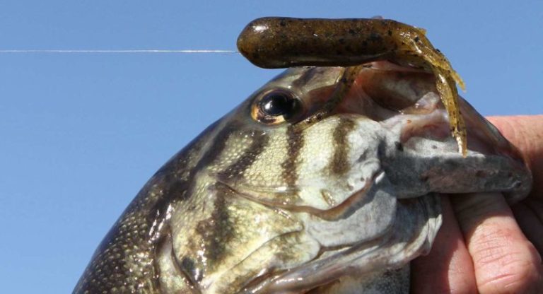 Pipkens’ tips for tactical tubing January 20, 2018  by David A Brown