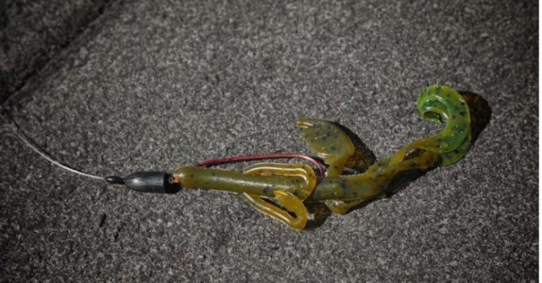 Texas Rig 101: All You Need To Know About The T-Rig – MTB