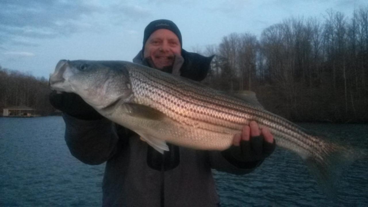 February 2020 Smith Mountain Lake Fishing Report by Captain Dale Wilson
