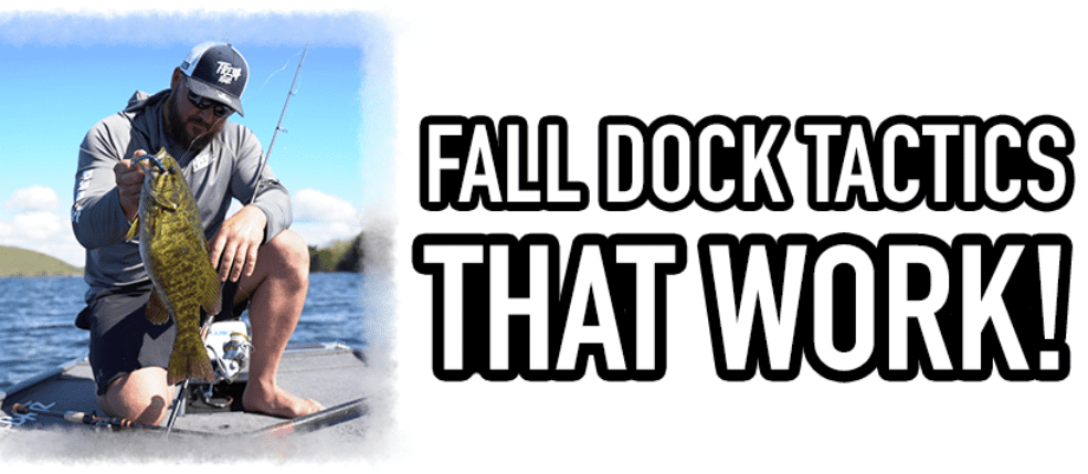 CATCH BASS IN FALL USING THESE DOCK TACTICS!