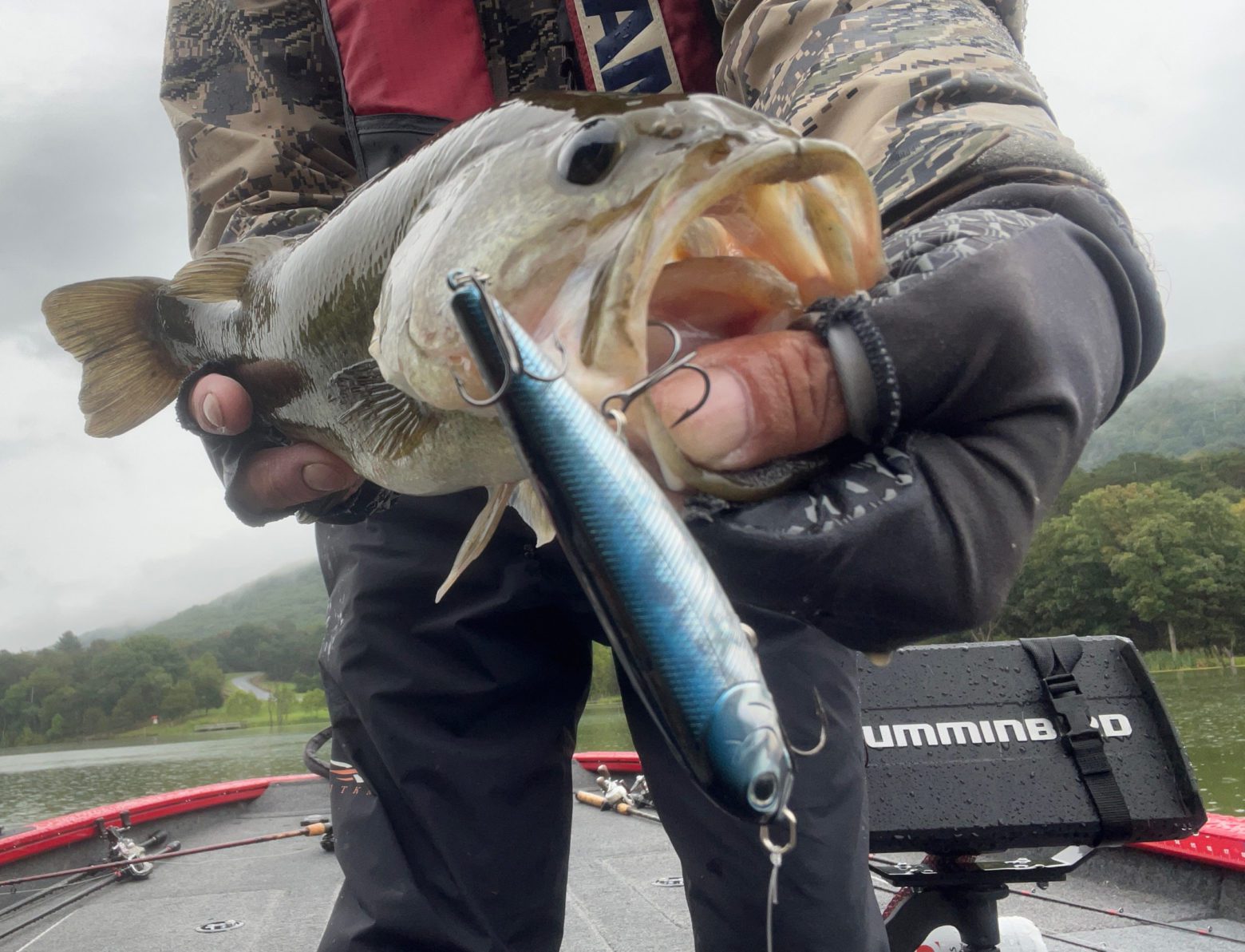 Wade and Shoreline Fishing the Potomac River for Smallmouth Bass: Chain  Bridge to Harpers Ferry (CatchGuide Series)