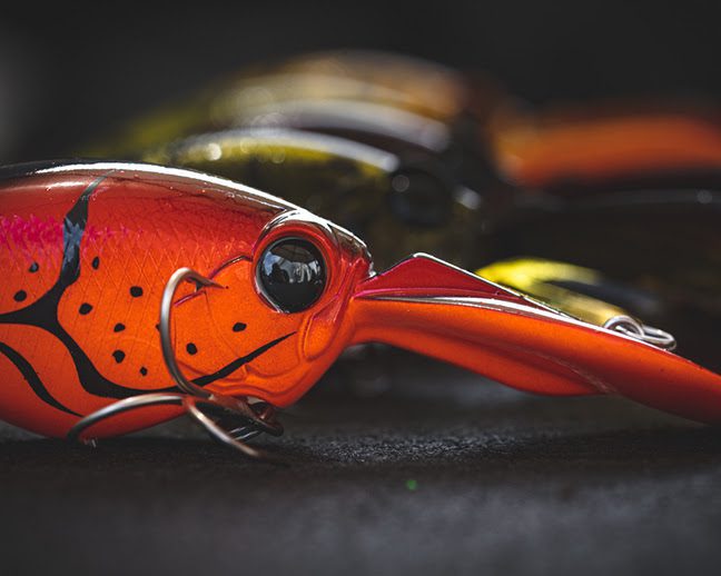 Ever Green brings back lifelike WH-8 Series crankbaits for digging out bottom hugging bass. 