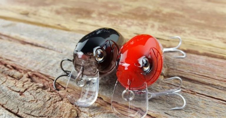 Wakebait Fishing: Clear Water, Shallow Cover, Can’t Lose. LTB