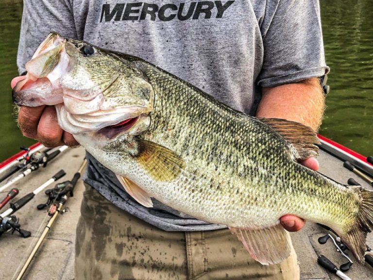 3 Weird Ways to Use a Treble Hook By Shaye Baker