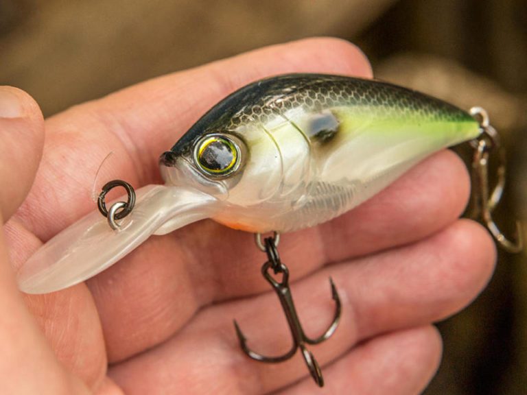 Yo-Zuri 3DB Series 1.5 MR Crankbait Review By Walker Smith