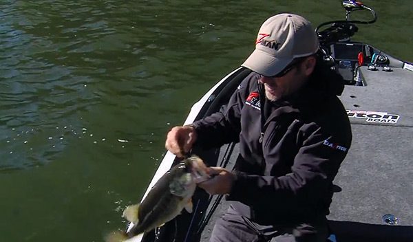 Project Z Episode 1 Bass Fishing Video