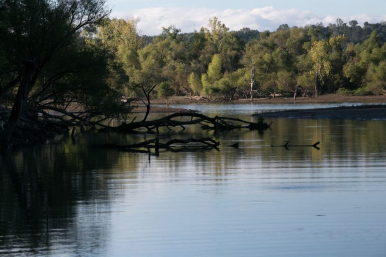 Douglas Lake May Be Heading To Opportune Scenario For Bassmaster Open