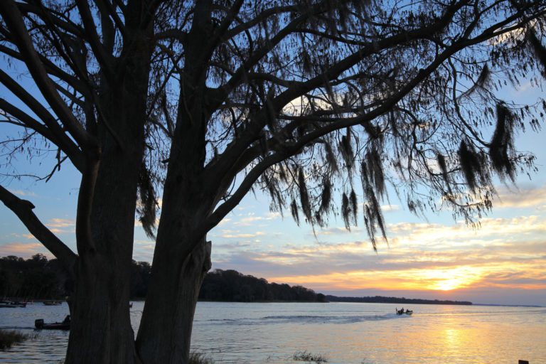 Harris Chain Lands Two Bassmaster Championship Events