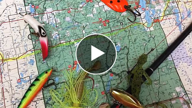 Fishing Our National Forests