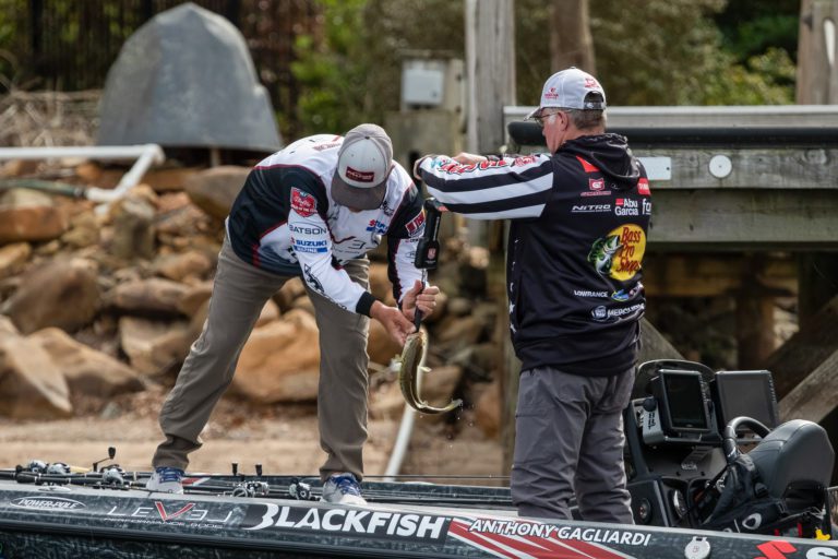 Lake Murray Country Ready to Host MLF Bass Pro Tour Fox Rent A Car Stage Three