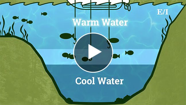 Weather, Seasons, and Family Fishing