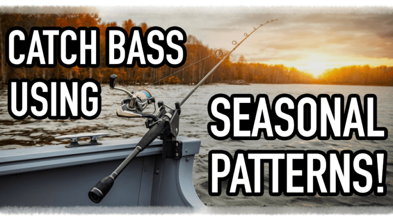 SEASONAL PATTERNS THAT CATCH BASS!