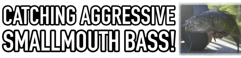 START TRICKING MORE SMALLMOUTH BASS!  by Fresh Baitz