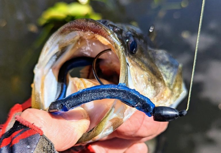 May Baits for Catching Big Bass by Bruce Callis Jr