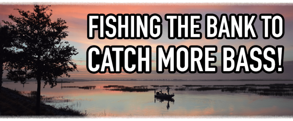 FISH THE BANK TO CATCH MORE BASS! By Fresh Baitz