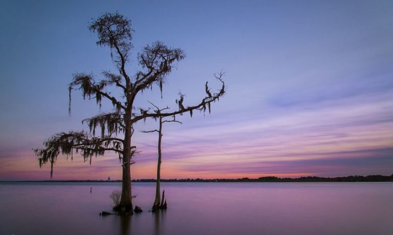 Jeremy Miller & Bubba Barnett Win CATT Neuse River, NC Spring Final July 1, 2023