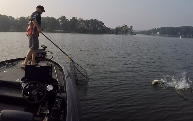 Mastering Drop Shot Fishing: A Game-Changer for Bass Anglers