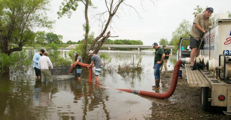 What vegetation do you need to have in your lake for Tiger Bass to reach their Giant Size?