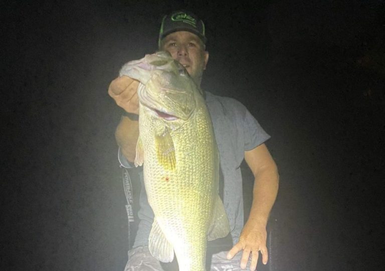 August 2023 Smith Mountain Lake Fishing Report by Captain Chad Green