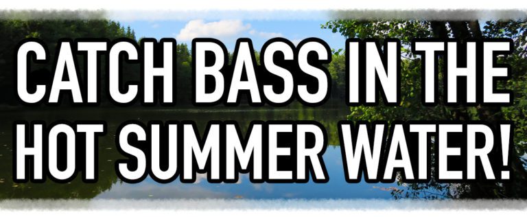 CATCH BASS IN THE HOT SUMMER WATER! by Fresh Baits