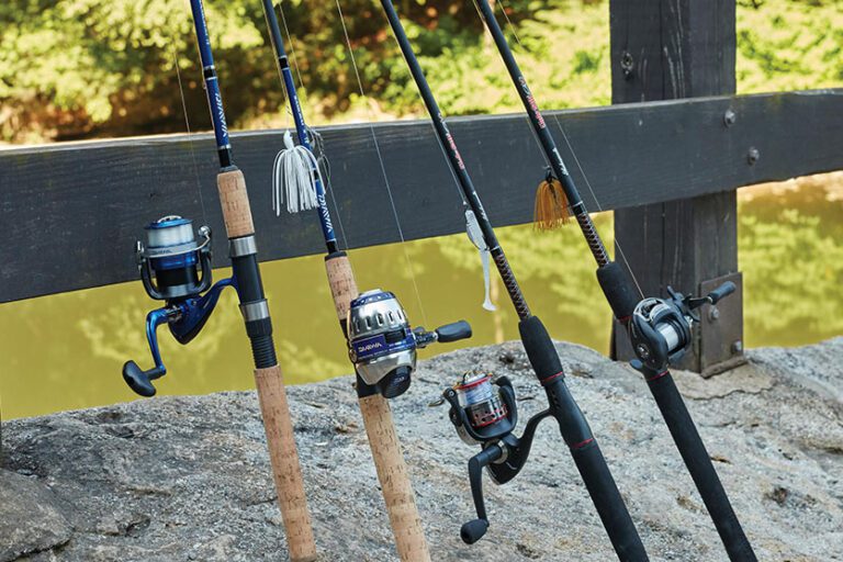 Beyond the Price Tag: Unveiling the Distinction Between a $50 and a $200 Bass Fishing Rod