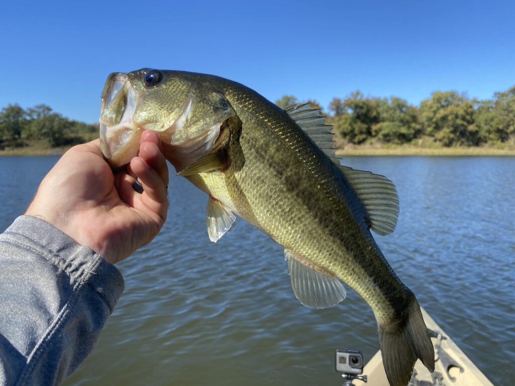 Fall Kayak Bass Fishing Tips: It's Time To Hit The Water