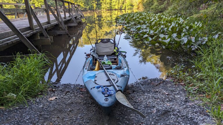 The Transition: Shifting Your Fishing Habits