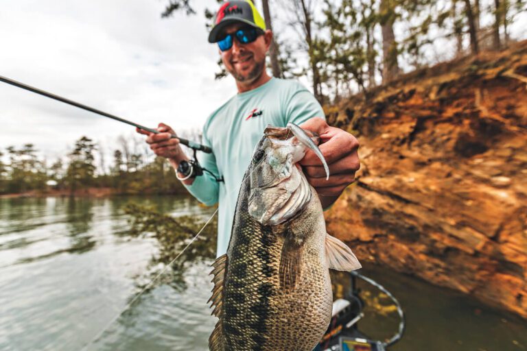 ? Feeding Frenzy Unleashed: ? Swim Baits as the Fall Angler’s Secret Weapon