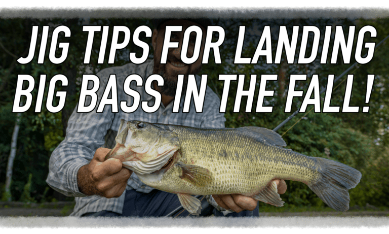 HOW TO FISH A JIG IN THE FALL!  by Fresh Baitz