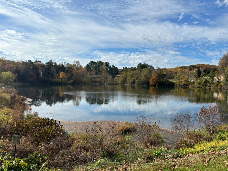 The Ideal Habitat for Giant Bass: Science Meets Angler’s Expertise