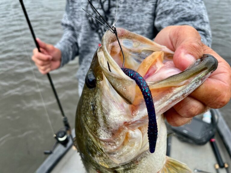 Jimmy Washam - Stantonville, TN - Major League Fishing