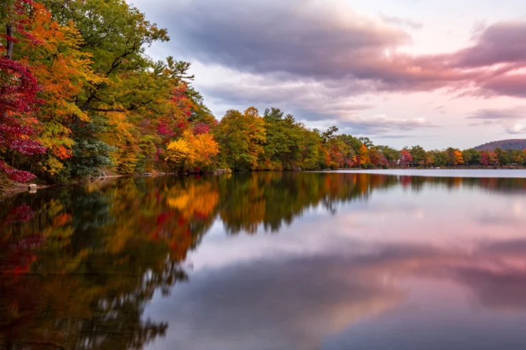 Understanding the Water Turnover: A Scientific Bass Fishing Tutorial