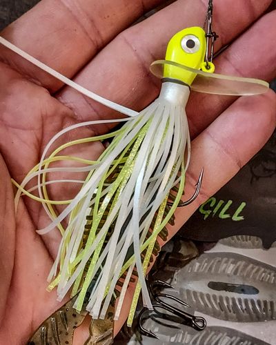The Skirted Pulse Jig: A Game-Changing Bait for Winter Fishing