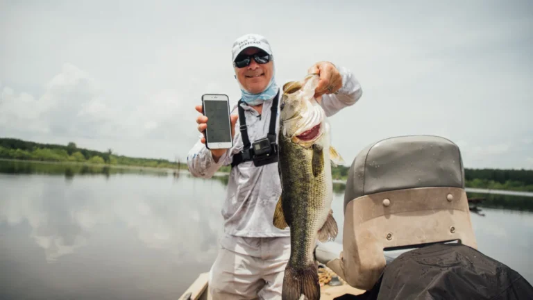 Bass Forecast: A Digital Revolution in Bass Fishing.