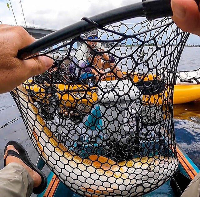 EGO Wade-Large PVC Coated Net – EGO Fishing