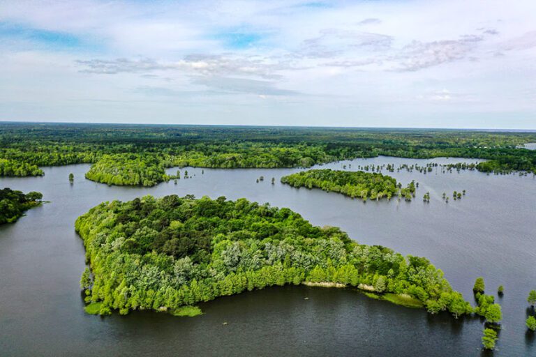 Spring dynamic could be on display for Bassmaster Open at Santee Cooper Lakes