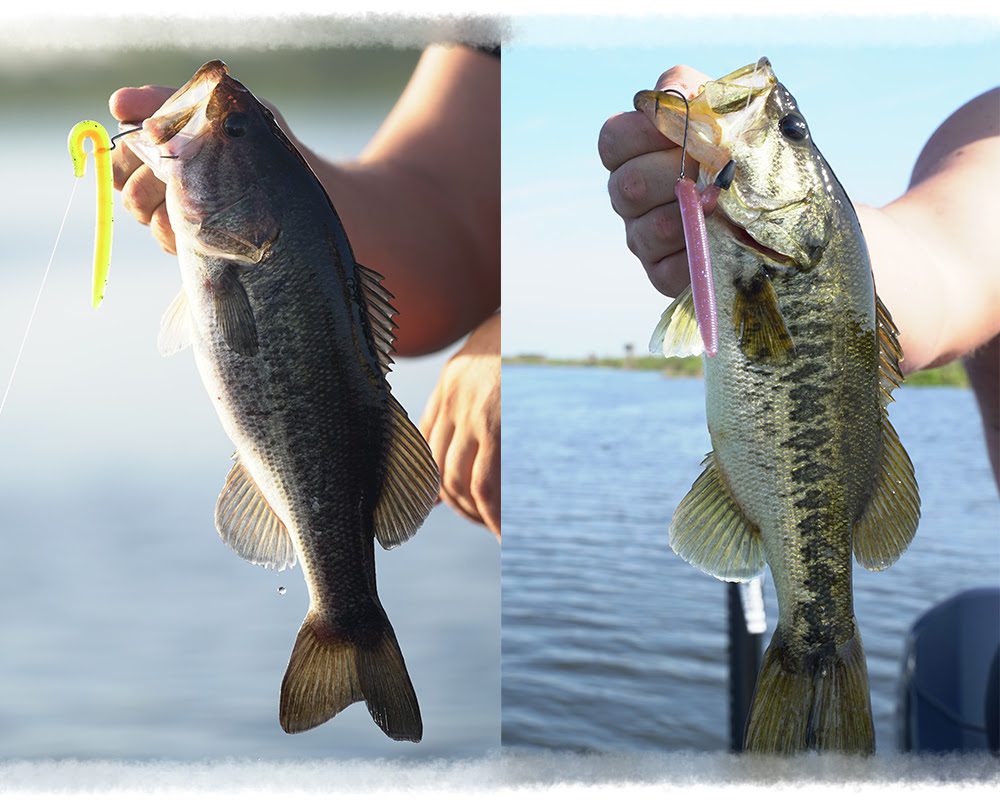 WORM TIPS TO CATCH BIG WINTER BASS!!
