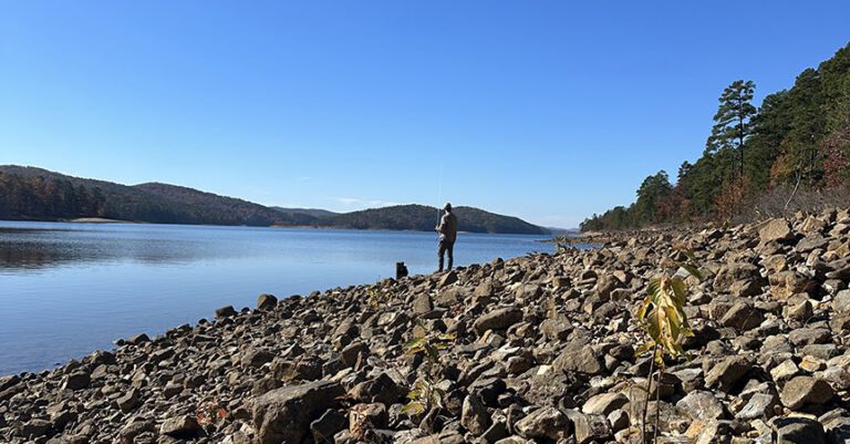 Options plentiful for Bassmaster Opens anglers on Lake Ouachita