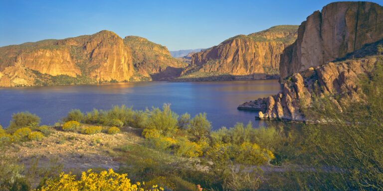 A Fisherman’s Triumph: Randall E. White’s 16.8lb Legendary Catch on Canyon Lake in Arizona