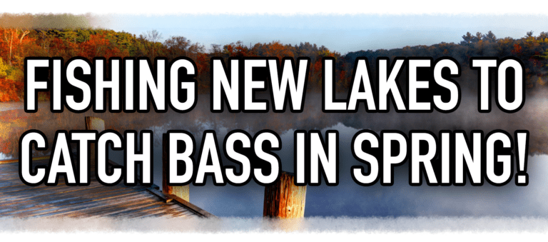 Fishing New Lakes in Spring to Catch Bass!