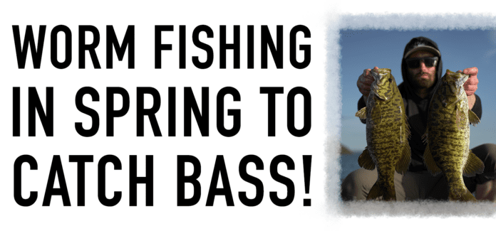 USE WORMS TO CATCH BASS IN SPRING!USE WORMS TO CATCH BASS IN